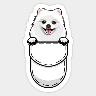 Pomeranian Pocket Dog Sticker